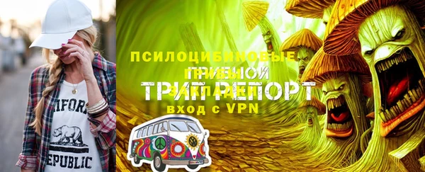 spice Кодинск