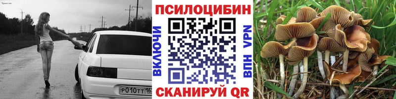 Купить где  Добрянка  Галлюциногенные грибы Psilocybe 